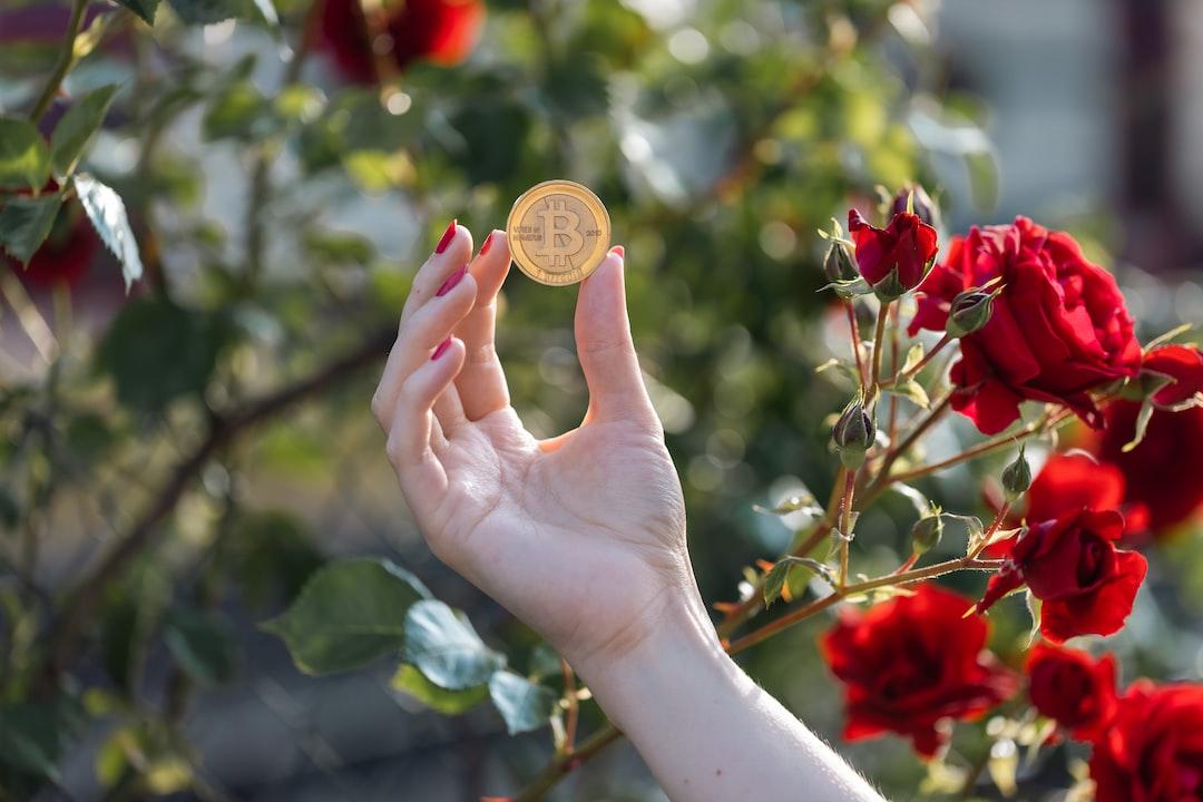 Reasons to Purchase XRP Prior to June 17
