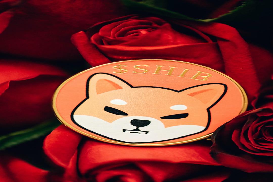 Milestone: Bitcoin Has Remained Declared Alive for Over a Year
